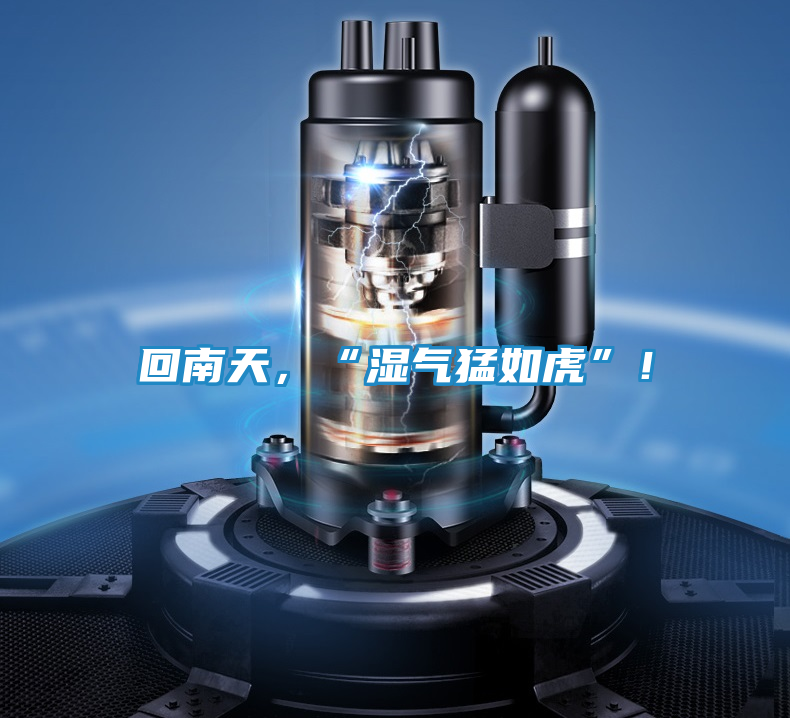 回南天,“湿气猛如虎”!