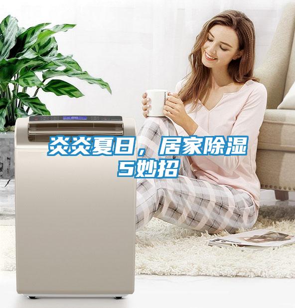 炎炎夏日，居家除湿5妙招