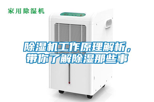 除湿机工作原理解析，带你了解除湿那些事