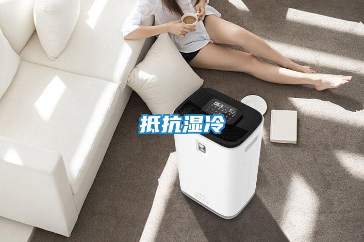 抵抗湿冷