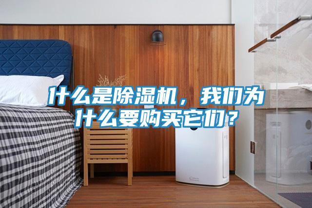 什么是除湿机，我们为什么要购买它们？