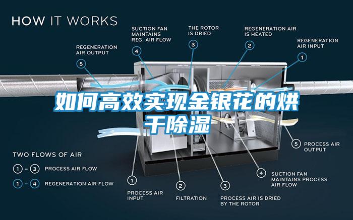 如何高效实现金银花的烘干除湿