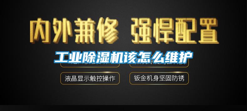 工业除湿机该怎么维护