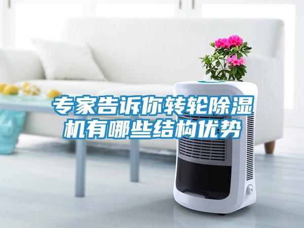 专家告诉你转轮除湿机有哪些结构优势