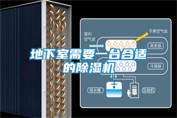 地下室需要一台合适的除湿机