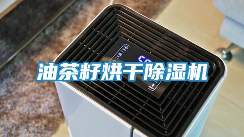 油茶籽烘干除湿机