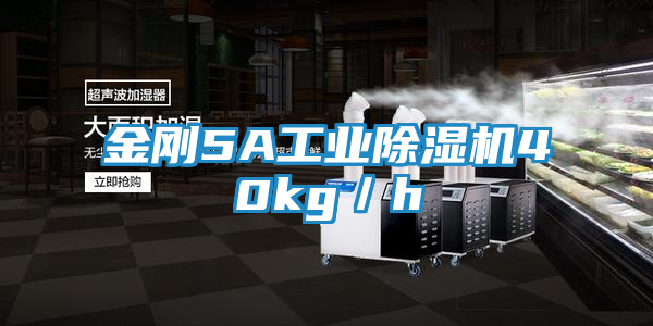 金刚5A工业除湿机40kg／h