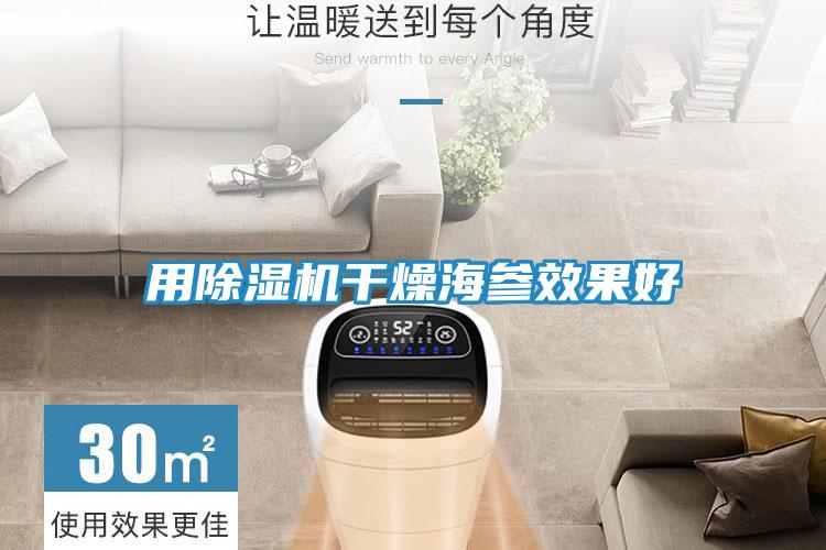用除湿机干燥海参效果好