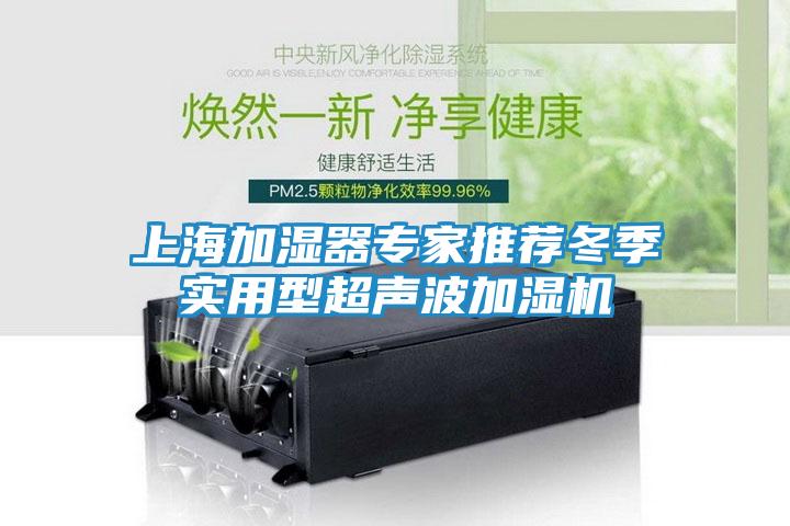 上海加湿器专家推荐冬季实用型超声波加湿机