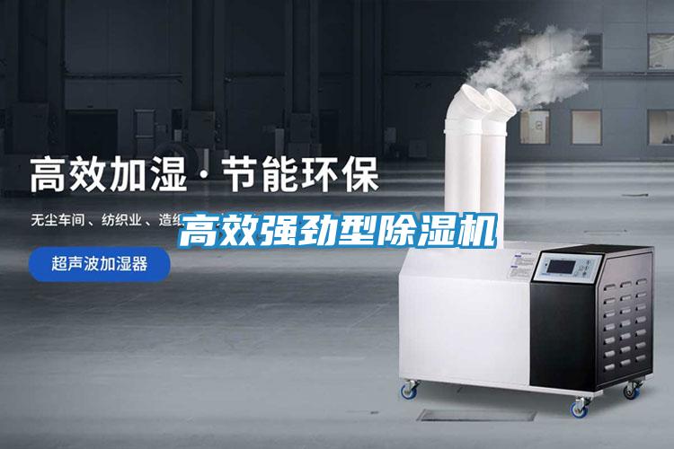 高效强劲型除湿机