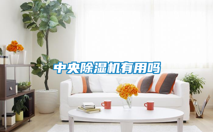 中央除湿机有用吗