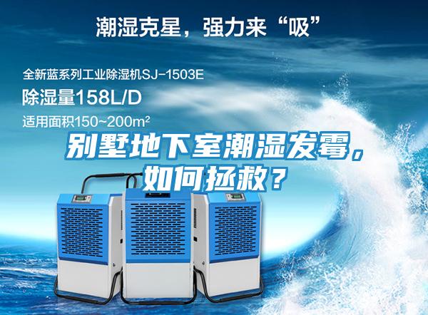 别墅地下室潮湿发霉，如何拯救？