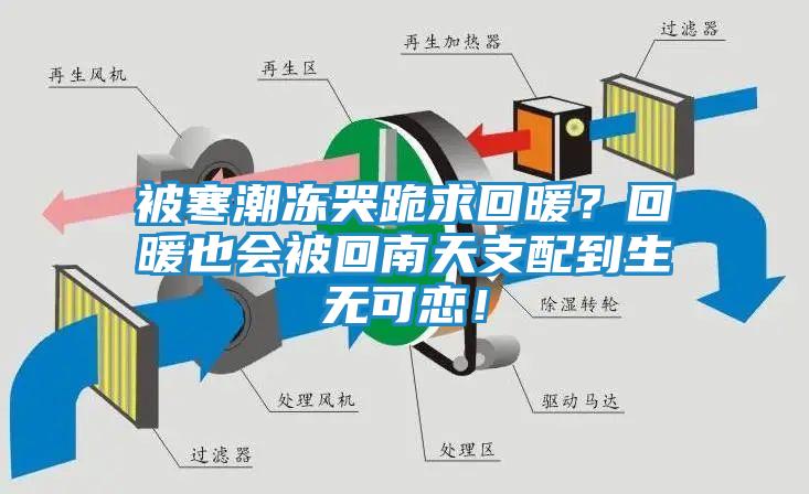 被寒潮冻哭跪求回暖？回暖也会被回南天支配到生无可恋！