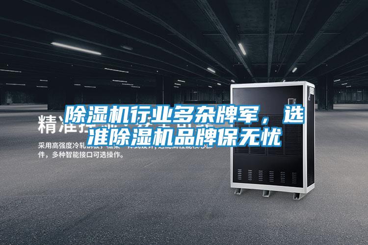 除湿机行业多杂牌军，选准除湿机品牌保无忧