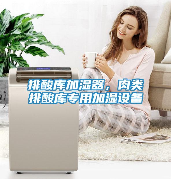 排酸库加湿器，肉类排酸库专用加湿设备
