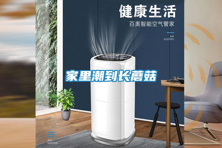 家里潮到长蘑菇