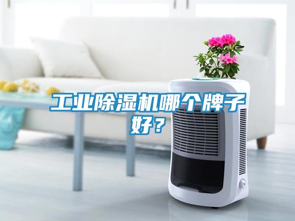 工业除湿机哪个牌子好？