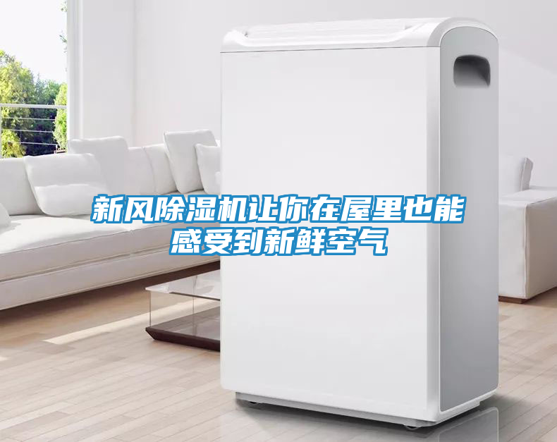 新风除湿机让你在屋里也能感受到新鲜空气