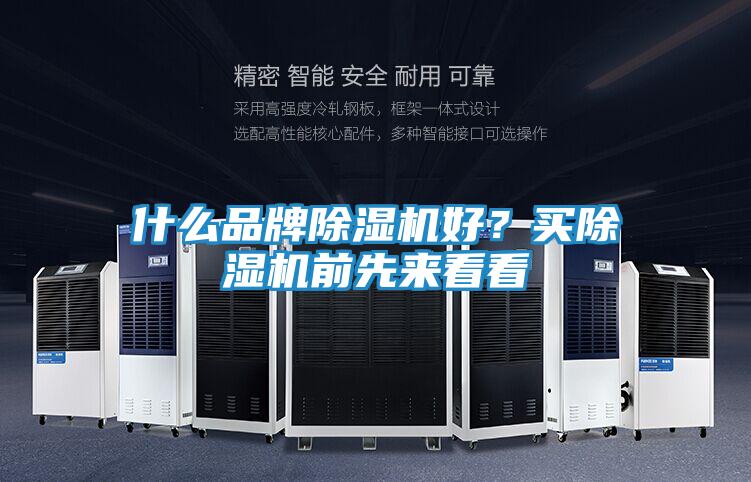 什么品牌除湿机好？买除湿机前先来看看