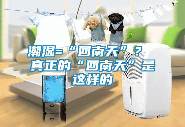 潮湿=“回南天”？ 真正的“回南天”是这样的