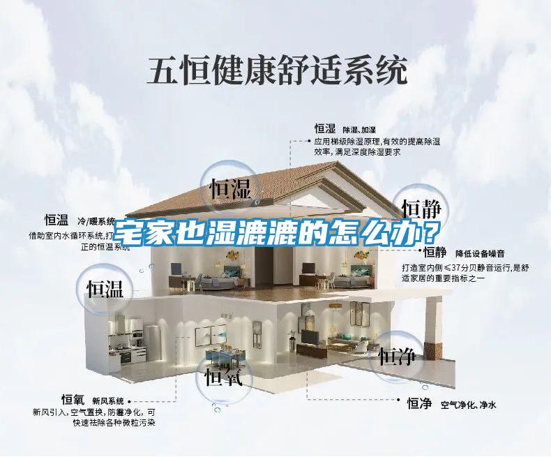 宅家也湿漉漉的怎么办？