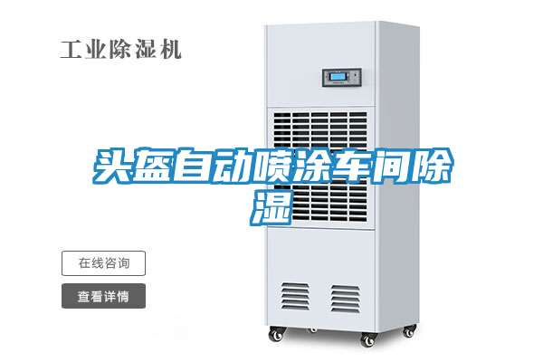 头盔自动喷涂车间除湿