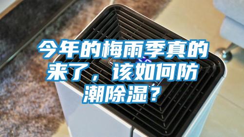 今年的梅雨季真的来了，该如何防潮除湿？