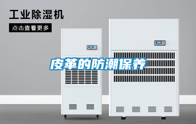 皮革的防潮保养