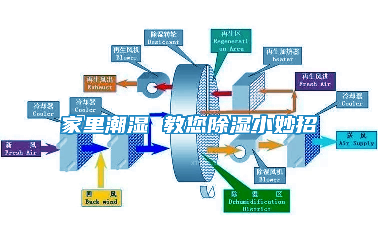家里潮湿 教您除湿小妙招