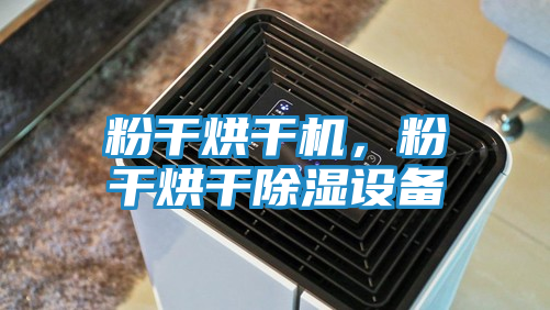 粉干烘干机，粉干烘干除湿设备