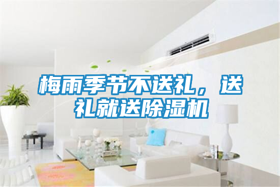 梅雨季节不送礼,送礼就送除湿机