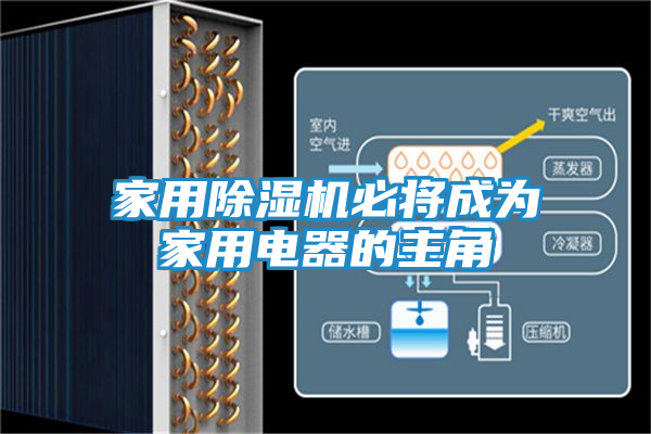 家用除湿机必将成为家用电器的主角