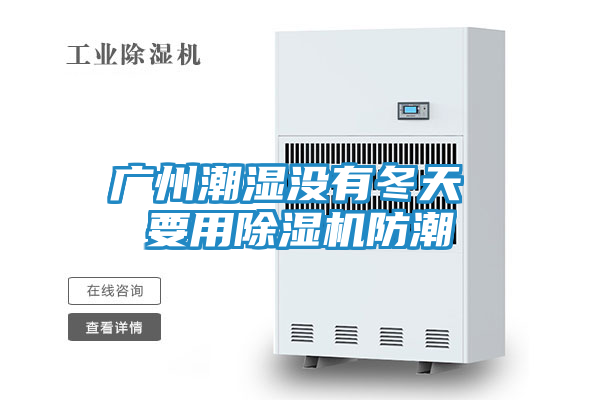广州潮湿没有冬天 要用除湿机防潮