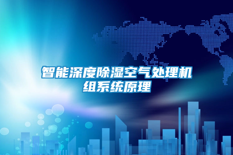 智能深度除湿空气处理机组系统原理