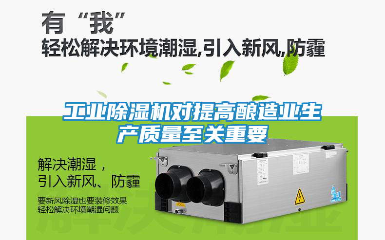 工业除湿机对提高酿造业生产质量至关重要