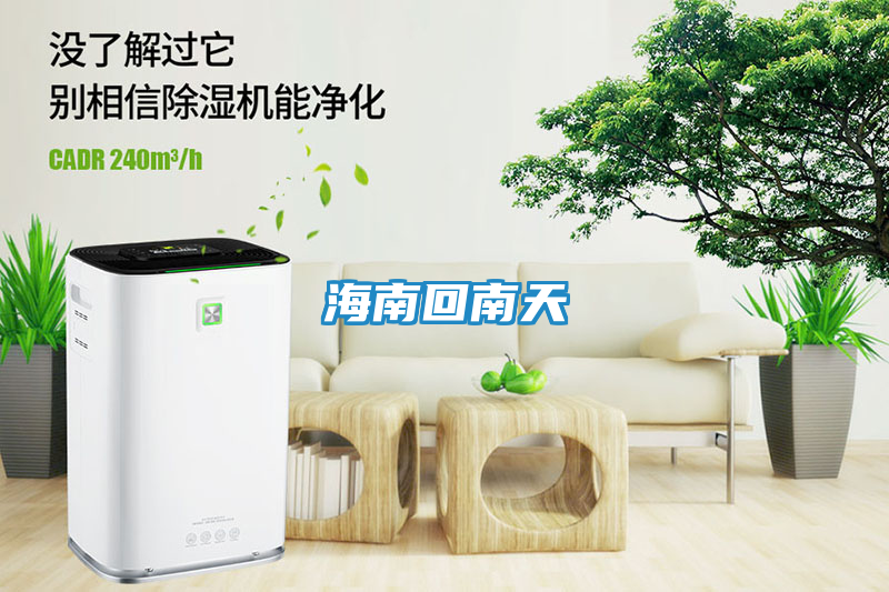 海南回南天
