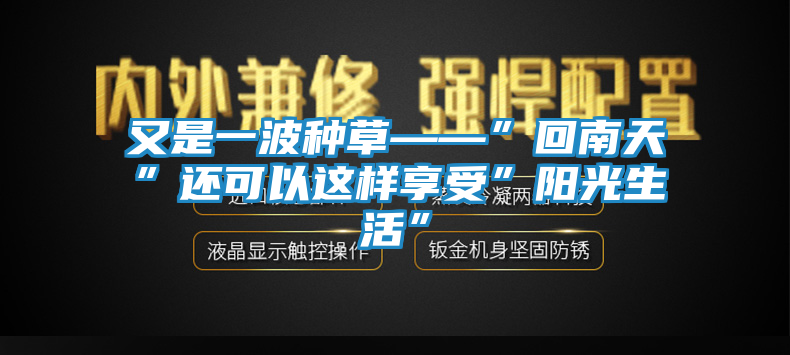 又是一波种草——”回南天”还可以这样享受”阳光生活”