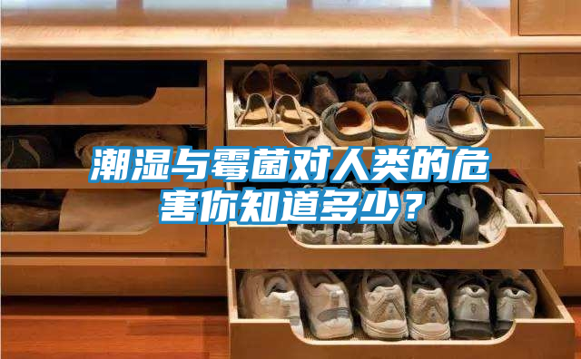 潮湿与霉菌对人类的危害你知道多少？