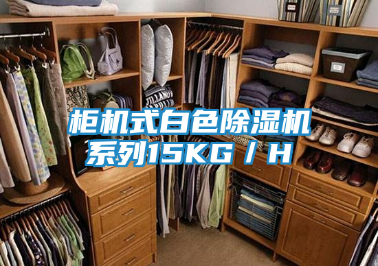 柜机式白色除湿机系列15KG/H