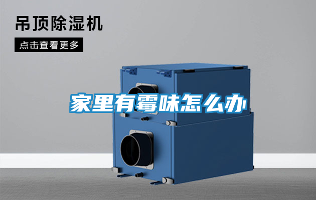 家里有霉味怎么办
