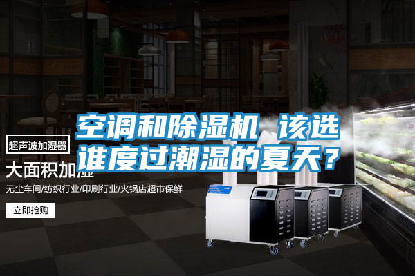 空调和除湿机 该选谁度过潮湿的夏天？