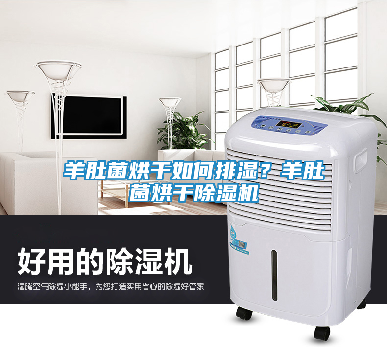 羊肚菌烘干如何排湿？羊肚菌烘干除湿机