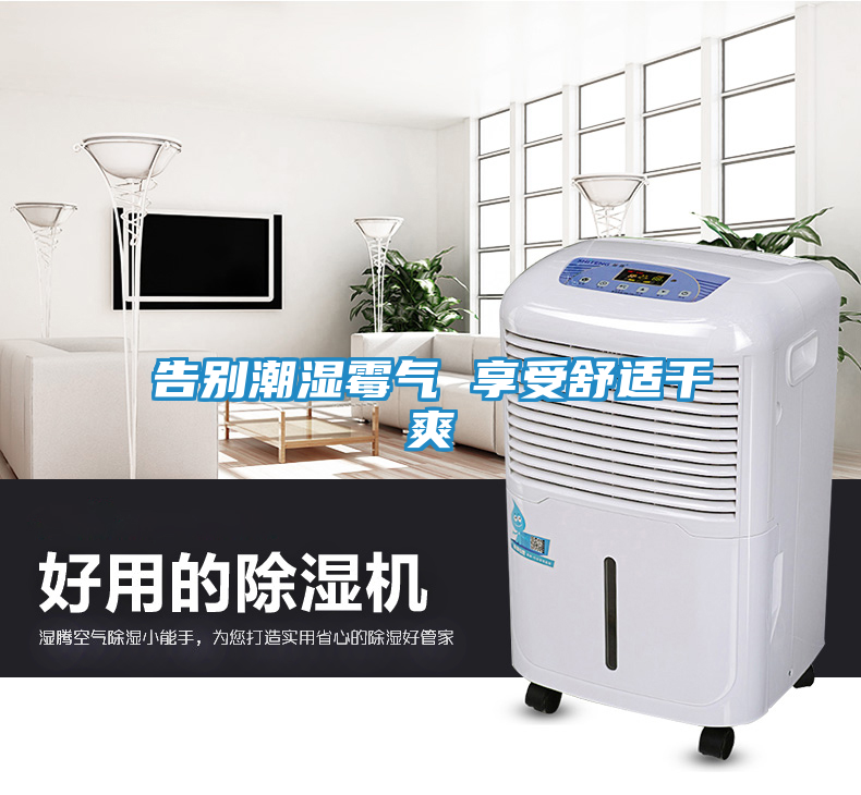 告别潮湿霉气 享受舒适干爽