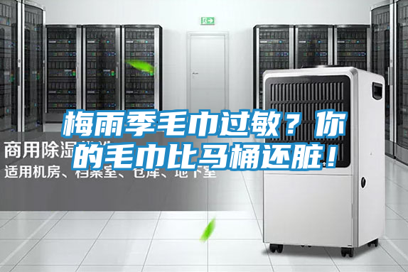 梅雨季毛巾过敏?你的毛巾比马桶还脏!