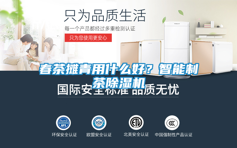 春茶摊青用什么好?智能制茶除湿机