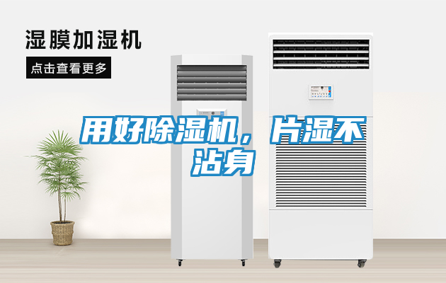 用好除湿机，片湿不沾身