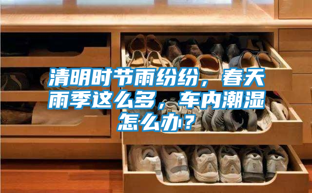 清明时节雨纷纷，春天雨季这么多，车内潮湿怎么办？