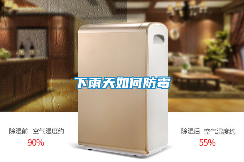 下雨天如何防霉