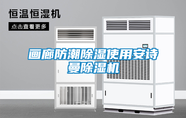 画廊防潮除湿使用安诗曼除湿机