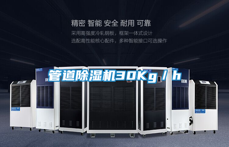 管道除湿机30Kg／h